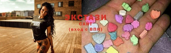 хмурый Новозыбков