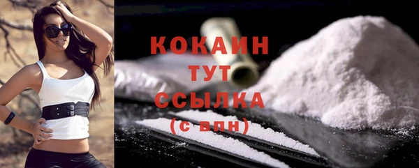СК Няндома