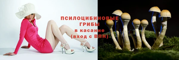 мяу мяу мука Новокубанск