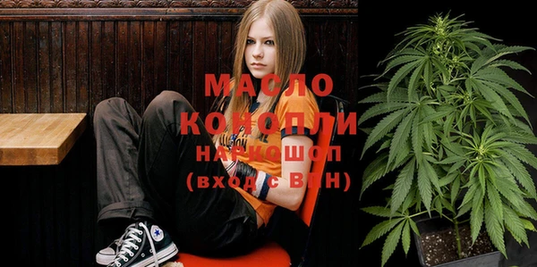 хмурый Новозыбков