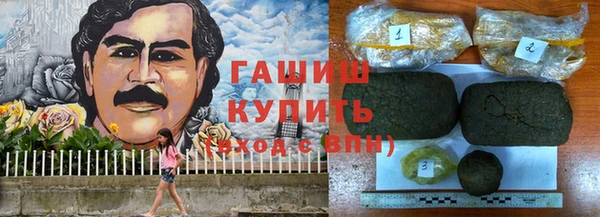 хмурый Новозыбков
