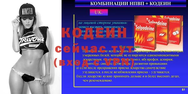 хмурый Новозыбков