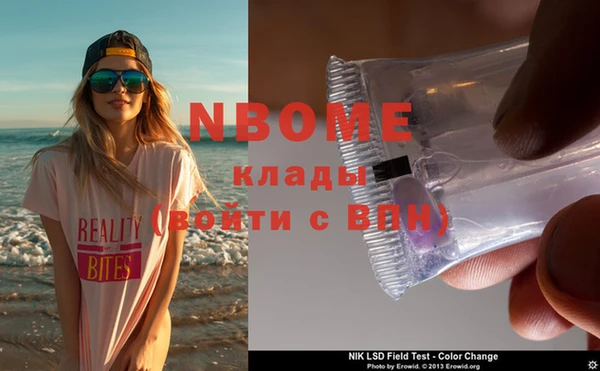 хмурый Новозыбков
