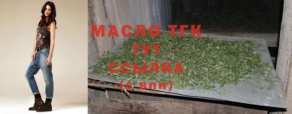 хмурый Новозыбков