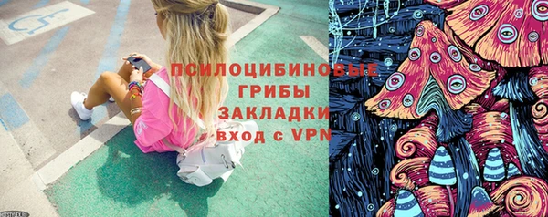 хмурый Новозыбков