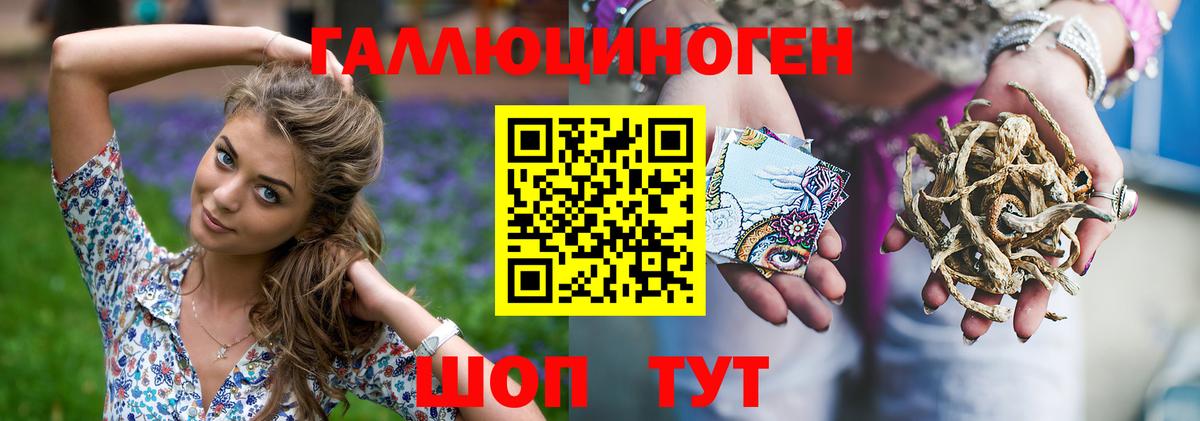 Богородицк  Галлюциногенные грибы Psilocybe  Галлюциногенные грибы прущие грибы  купить наркотики сайты  Вход с VPN 