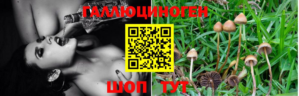 Галлюциногенные грибы MAGIC MUSHROOMS Богородицк