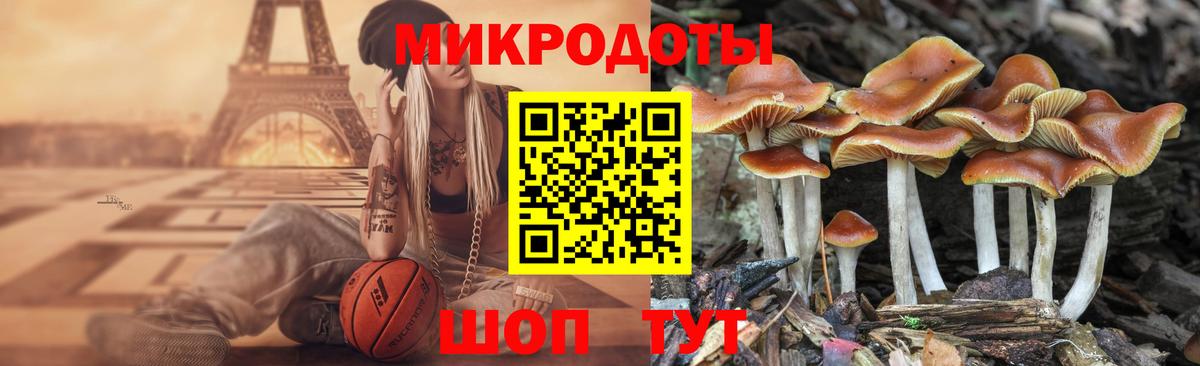 закладки  Богородицк  Галлюциногенные грибы Psilocybe 