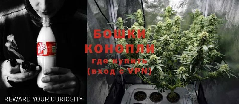 omg ссылки  Богородицк  Каннабис гибрид  сколько стоит 